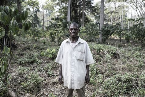 Deforestation Threatens Aka Pygmies Of Central Africa