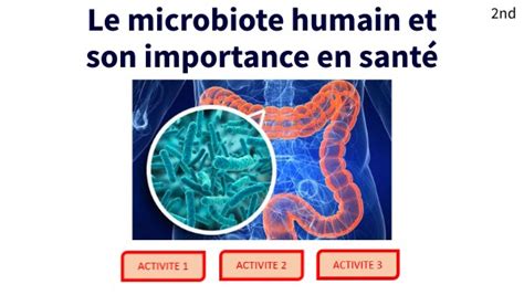 Le Microbiote Humain Et Son Importance En Sant Seconde Svt