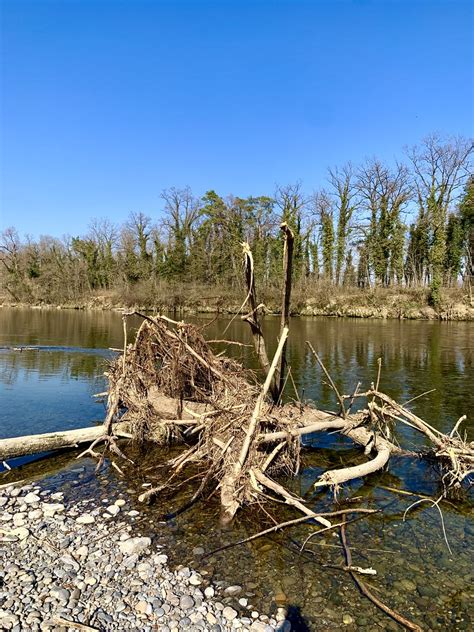 An der Thur Down by the river Janine Schümperli Flickr