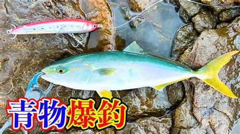 青物が高活性すぎてアタリが止まらない！ ショアジギングでトップやジグで青物が爆釣しました！ Youtube