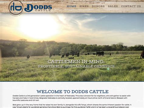 Dodds Cattle Ranch House Designs Inc