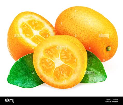 Kumquat Fruit And Cross Cut Of Kumquat With Leaves Isolated On White