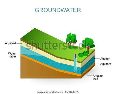 Groundwater Artesian Aquifer Water Table Stock Vector (Royalty Free) 458828785 | Shutterstock