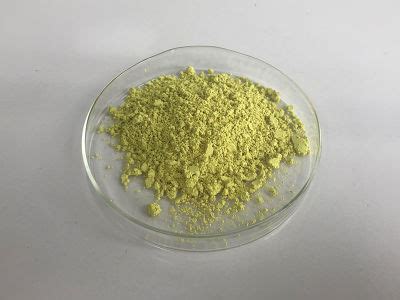 Pharmaceutical Grade Natural Sophora Japonica Extract Quercetin