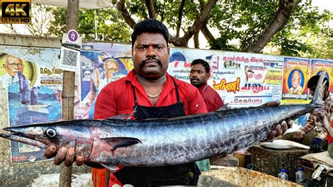 Kasimedu Speed Selvam Big Size Aara Kola Fish Cutting K Video