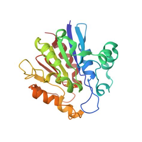 Rcsb Pdb P P X Ray Structure Of Francisella Tularensis Rapid