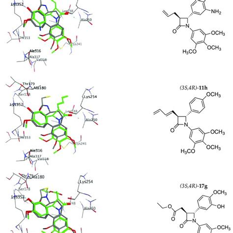 Small Molecules Targeting The Colchicine Binding Site Of Tubulin