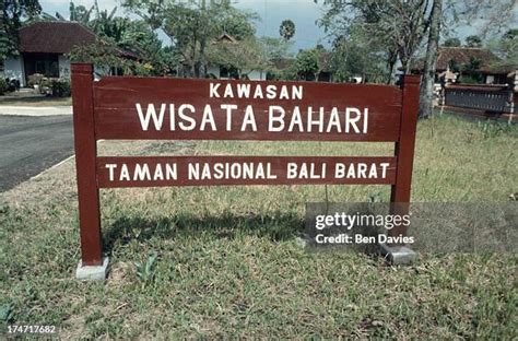 11 Taman Nasional Bali Barat Stock Photos, High-Res Pictures, and ...