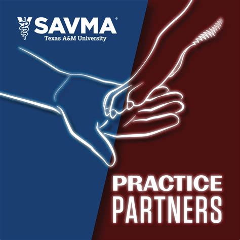 practice partners december student avma savma