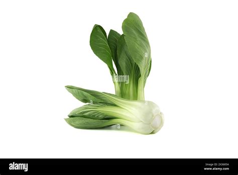 Pak Choi Also Known As Bok Choi Or Pok Choi Type Of Chinese Cabbage