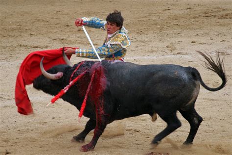 Vid O Corrida Un Torero Espagnol Encorn La Gorge Et La Jambe