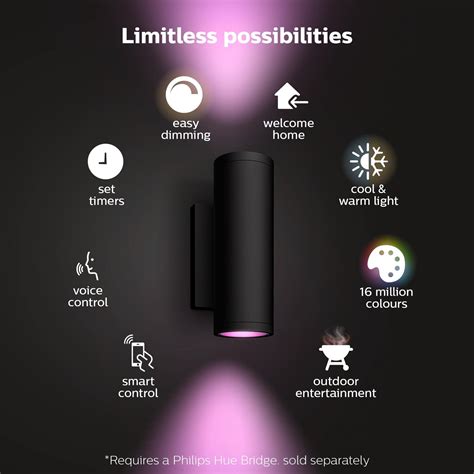 Philips Hue Appear Outdoor Wall Light Smart Lighting Mitre 10™