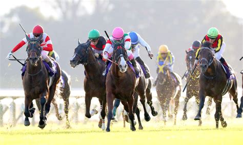 【マイルcs】紅一点ナミュールが牡馬蹴散らしg1初制覇 ”代打”藤岡康太騎手で史上8回目の牝馬v Umatoku 馬トク