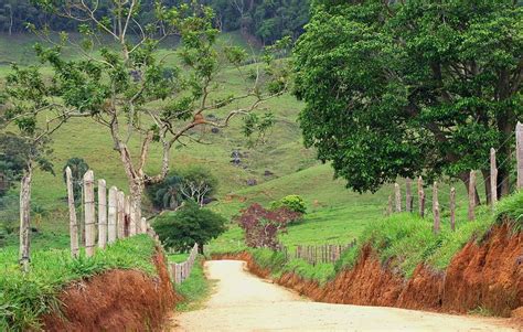 Pelas Estradas De Minas Gerais Valle Farmland Outdoor