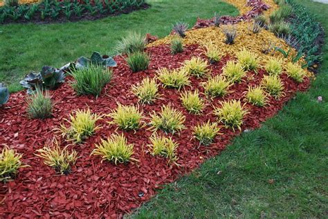 17 Types Of Mulch Which One Is Best For You