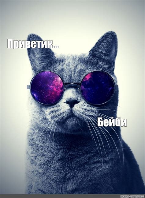 Создать мем "кот, кот в очках обои, котик" - Картинки - Meme-arsenal.com