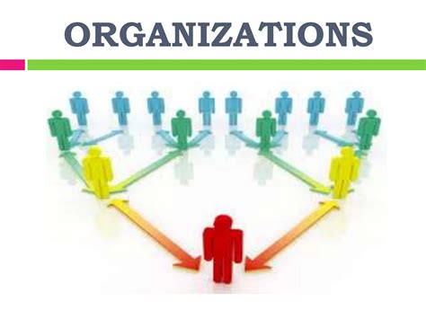 organizations   definition characteristics  forms