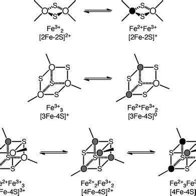 PDF All Ferrous IronSulfur Clusters