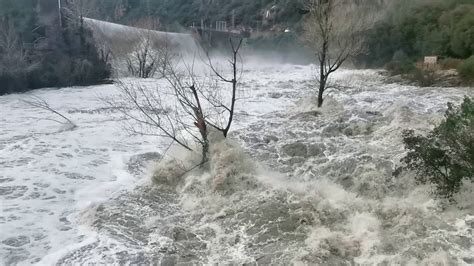 Riu Ter a l alçada de la sortida de la presa de Pasteral 23 01 20