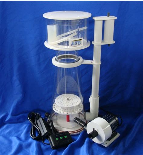 Nano Aquarium Protein Skimmer Aquarium Fische Arten