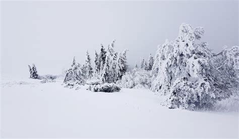 Near the top of Vitosha, Bulgaria, on the last day of 2018. [4032×2364 ...
