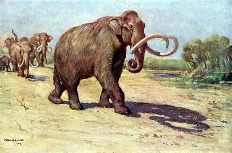 Extinct Animals With Names