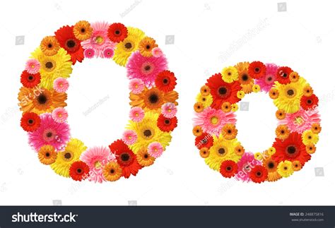 O Flower Alphabet Stock Photo 248875816 Shutterstock