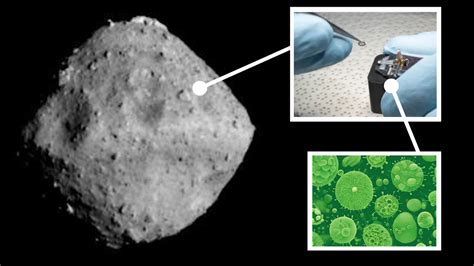 Japans Priceless Asteroid Ryugu Sample Shockingly Colonized By Earth