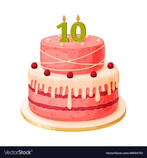 Candle on birthday cake with 10 number age Vector Image