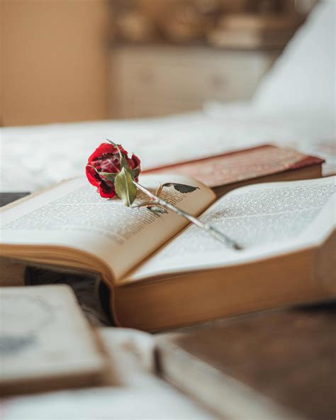 Sant Jordi Libros Y Rosas Para Todos En Una Jornada Muy Animada