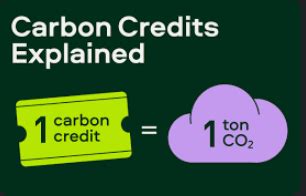 Understanding Carbon Credits A Path To Environmental Sustainability