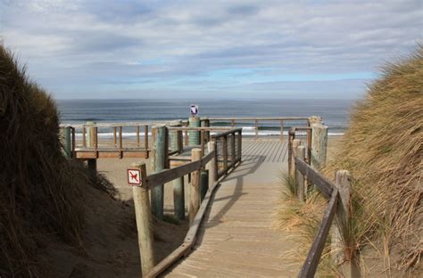 Bodega Dunes in Bodega Bay, CA - California Beaches