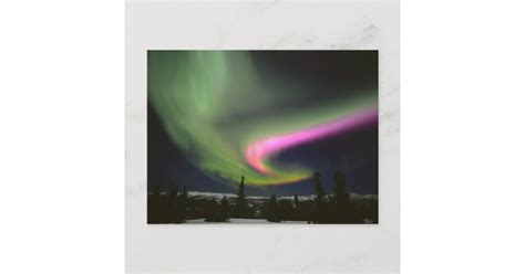 USA, Alaska, Chena Hot Springs. Aurora 2 Postcard | Zazzle