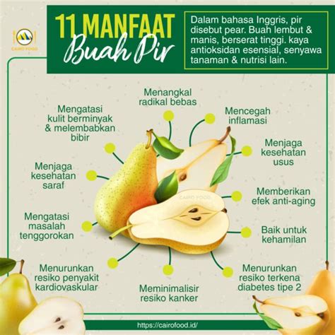 11 Manfaat Buah Pir Bagi Kesehatan Yang Harus Kamu Ketahui