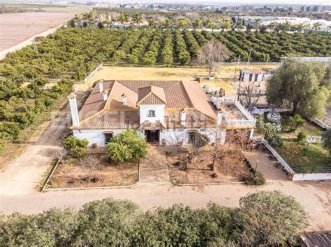 Finca rústica en venta en Carretera de Sevilla a Utrera Alcalá de