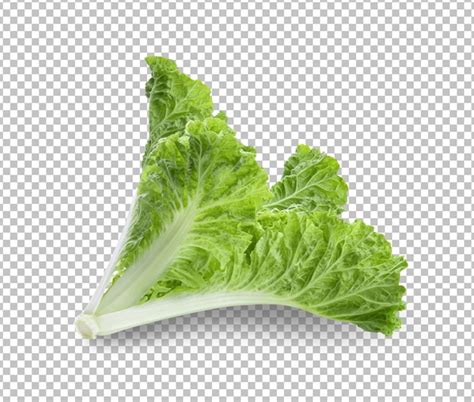 Premium Psd Lettuce Leaves Isolated On Alpha Layer