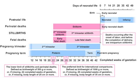 Definition Of Stillbirth The Definitions Of Stillbirth Used By Who And