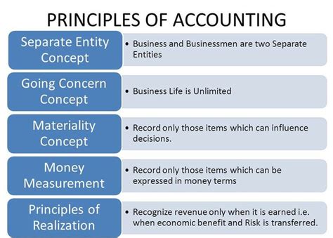 Business Entity Concept Definition Explanation Examples