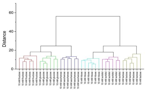 Hierarchical Clustering Analysis Hca Dendrogram For Samples