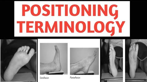 Positioning Terminology Lower Limb Dorsal Plantar Medial Lateral