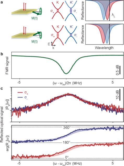 Figure From Magnon Exciton Proximity Coupling At A Van Der Waals