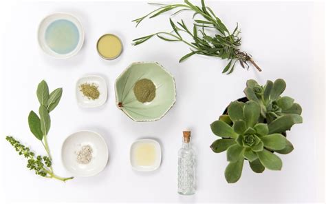 The Rise Of Natural Skincare A Comprehensive Guide To The Best