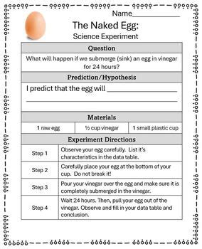 The Naked Egg An Engaging Scientific Inquiry Experiment By Miss Madrona