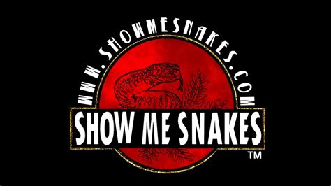 Show Me Snakes Expo Janesville WI 3 7 2021 YouTube