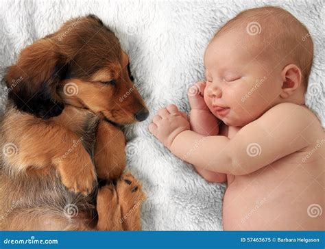 Sleeping Baby And Puppy Stock Photo - Image: 57463675