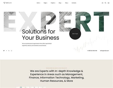 Brillix - UI/UX Design for Consulting Company :: Behance