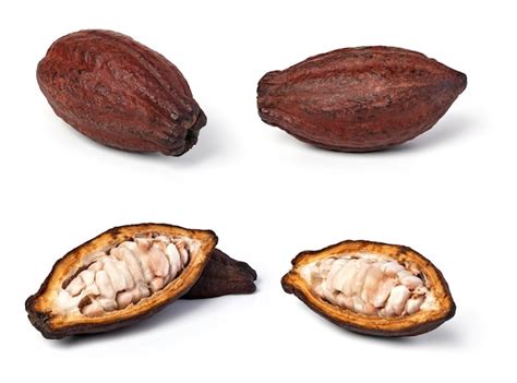 Premium Photo Set Of Cocoa Pod