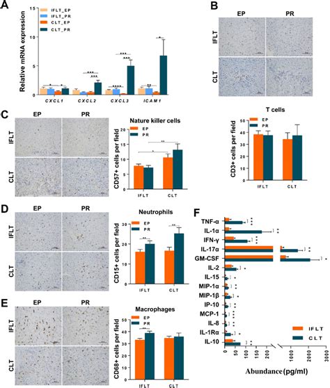 Iflt Suppressed Local And Systemic Immunity A The Production Of