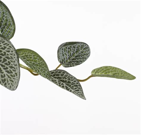 Mica Decorations Pilea Kunst Hangplant L X B X H Cm Groen