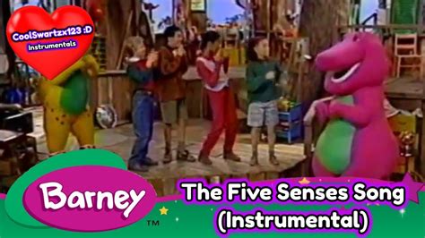 Barney Five Senses